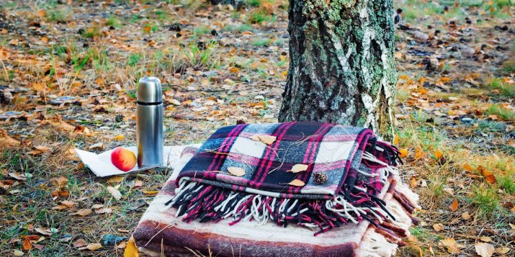 Vremea se încălzește din nou. Prognoza meteo pentru următoarele zile