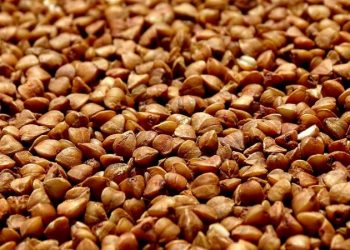 ANSA a depistat în hrișca livrată din Rusia reziduuri de pesticide de până la 57 de ori peste normă