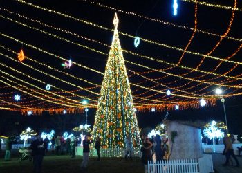 Fără iarmaroace, dar cu Pom de Crăciun în centrul capitalei