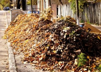 Străzile Chișinăului sunt îngropate în frunze uscate, iar oamenii acuză autoritățile că nu fac ordine. Explicațiile responsabililor | VIDEO