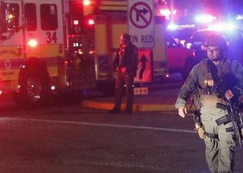 В центре Вены произошел теракт