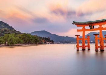 Stop vot în Japonia și China! Moldovenii de acolo și-au exercitat dreptul de a alege șeful statului