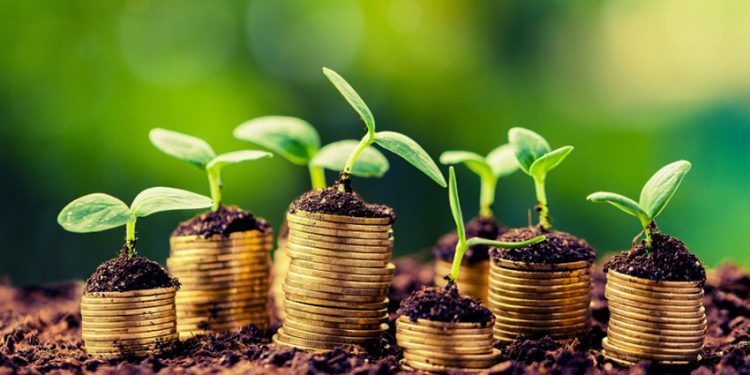 Doar 1-2% din agricultori au primit în acest an subvenţii de la stat. Din ce raioane au venit cele mai multe solicitări