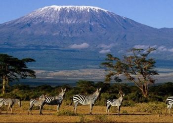 Performanță superbă! O moldoveancă a cucerit cel mai înalt vârf din Africa și a împărtășit impresiile unei aventuri deloc ușoare | VIDEO