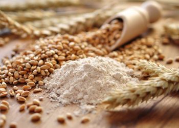 Premieră pentru R. Moldova: Făina de grâu din țara noastră a ajuns în Australia. Unde exportăm cele mai mari cantități