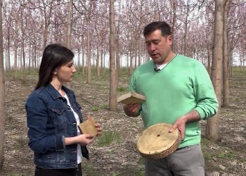 GOSPODARI ACASĂ | SERGIU CERVONEAC 29.07.2019