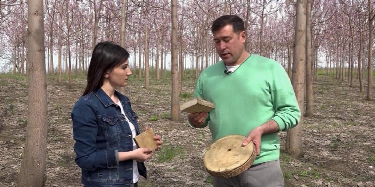 GOSPODARI ACASĂ | SERGIU CERVONEAC 29.07.2019