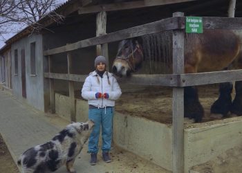 GOSPODARI ACASA | DIANA ROTARU 29.01.2020