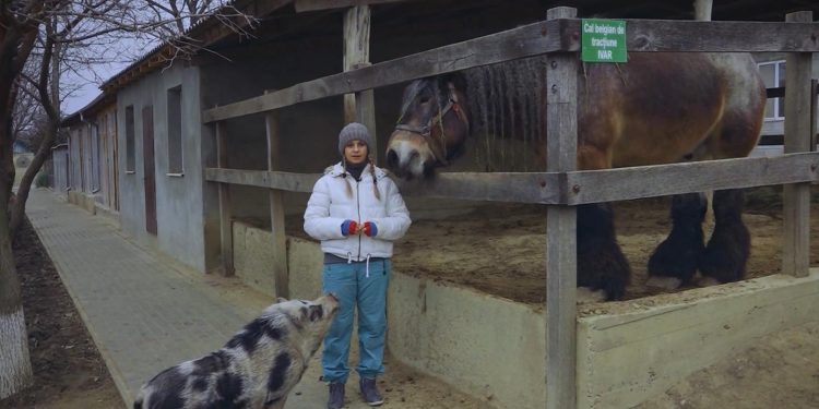 GOSPODARI ACASA | DIANA ROTARU 29.01.2020