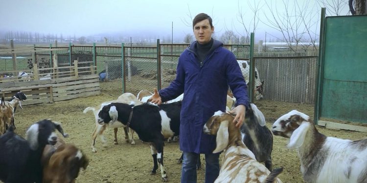 GOSPODARI ACASA | DUMITRU BALJICOV 05.02.2020