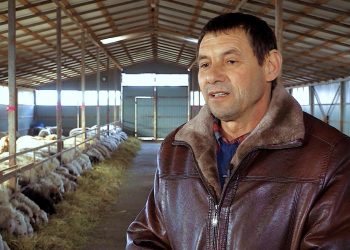 GOSPODARI ACASA | ANDREI ȚURCAN  21.02.2020