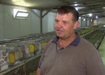 GOSPODARI ACASĂ | IURIE CEBOTARI 30.07.2019