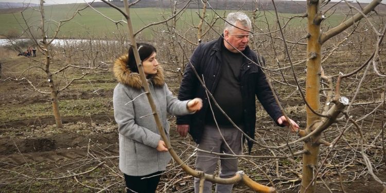 GOSPODARI ACASA | PETRU CARACAȘ 28.02.2020