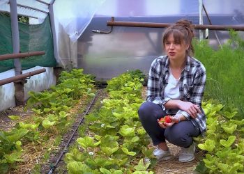 GOSPODARI ACASA | ANASTASIA OLEINIC 05.06.2020