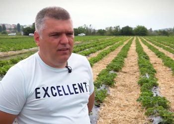 GOSPODARI ACASA EMISIUNEA | PLANTATIE DE CAPSUNI 19.06.2020