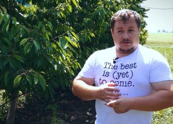 GOSPODARI ACASA | LIVADA DE CIRESE 26.06.2020