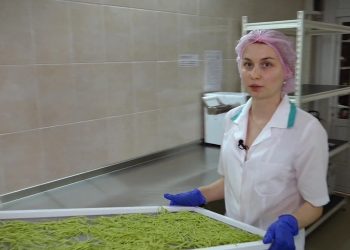 GOSPODARI ACASA | AFACERE CU TĂIȚEI 03.07.2020