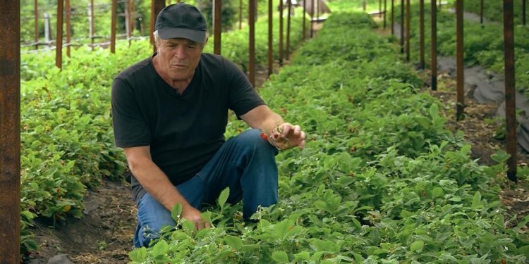 GOSPODARI ACASA | ANDREI ŢĂRUŞ 13.08.2020