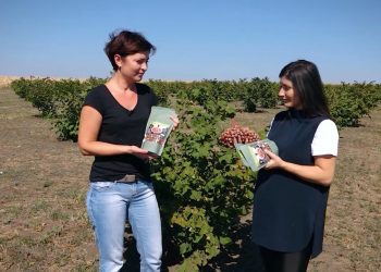 GOSPODARI ACASA | PLANTAȚIE DE ALUN 04.09.2020