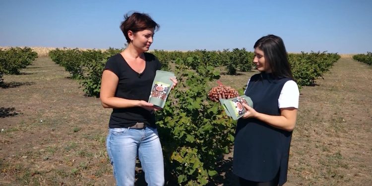 GOSPODARI ACASA | PLANTAȚIE DE ALUN 04.09.2020