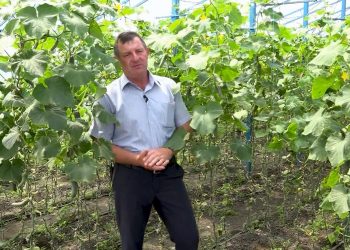 GOSPODARI ACASA | DUMITRU CARAMAN 07.08.2019