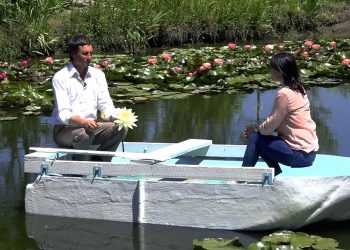 GOSPODARI ACASA | GHEORGHE LUCHIȚA 23.09.2019