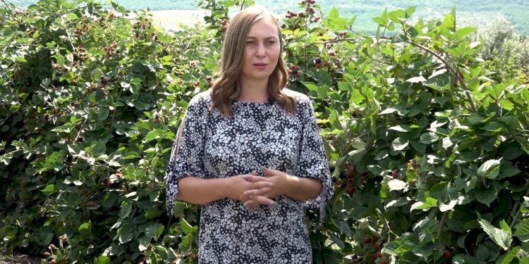 GOSPODARI ACASA | IRINA POMPUȘ 30.09.2019