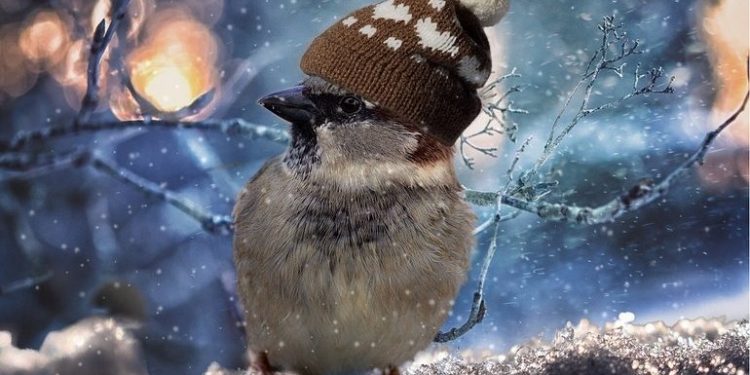 Vremea se răcește semnificativ. Primele îngețuri mai consistente pe întreg teritoriul țării