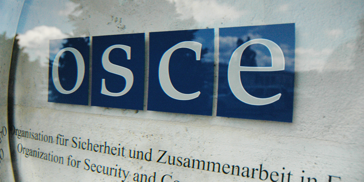 Declarația OSCE și mesajul din Parlamentul European în legătură cu desfășurarea alegerilor prezidențiale în R. Moldova