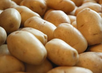 Piața locală, dominată de cartofii de import. Producătorii moldoveni solicită autorităților să restricționeze importurile