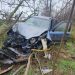 Accident grav, la Căinari: Un șofer s-a izbit puternic într-un copac | FOTO