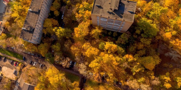 Serviciul Hidrometeorologic de Stat din Republica Moldova spune cum a fost toamna anului 2020