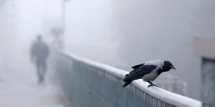 Atenție: A fost emis Cod Galben de ceață