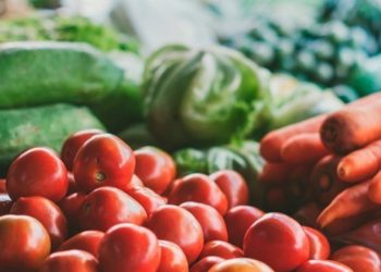 Produsele agricole din Moldova pot fi exportate în Rusia fără taxe vamale până în aprilie