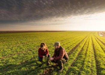 Platforma „Pentru Moldova” a obținut menținerea cotei TVA de 8% în agricultură, cum au cerut fermierii | VIDEO