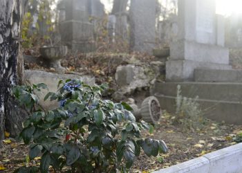 Profanarea mormintelor va fi sancționată cu amenzi de până la 47 500 de lei
