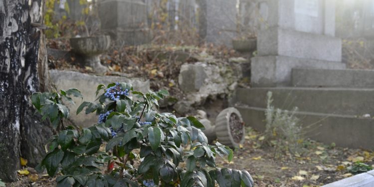 Profanarea mormintelor va fi sancționată cu amenzi de până la 47 500 de lei