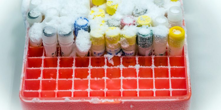 Un stat și-a pus hackerii să atace „lanțul rece” de aprovizionare cu vaccin anti-COVID