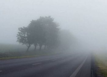 По всей Молдове прогнозируют туманы и ограниченную видимость