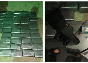 Партия наркотиков на сумму в 12 миллионов долларов, спрятанная во фруктах, задержана на молдо-украинской границе