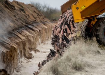 Danemarca: 4 milioane de nurci, ucise luna trecută de teama COVID, vor fi dezgropate