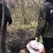 9 килограмм наркотиков на сумму более 1.000.000 леев найдены в Яловенском районе | VIDEO