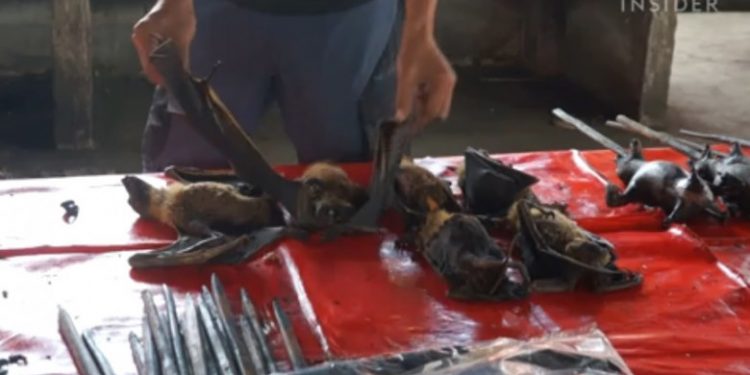 Liliecii sunt încă la vânzare pe pieţele din Indonezia, în ciuda legăturii lor cu pandemia. Avertisment: Aici poate fi ca în Wuhan