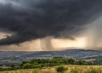 Furtuna puternică a afectat regiunea Catania din Italia: Numeroase case fără acoperiş, copaci smulşi din rădăcini și stâlpi de iluminat prăbușiți peste maşini | VIDEO