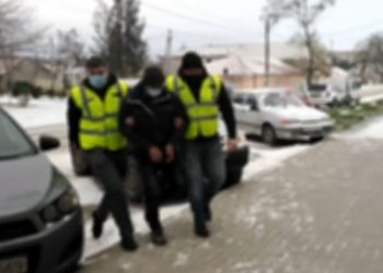 Испугался тюрьмы: мужчина устроился пастухом, чтобы скрыться от правосудия