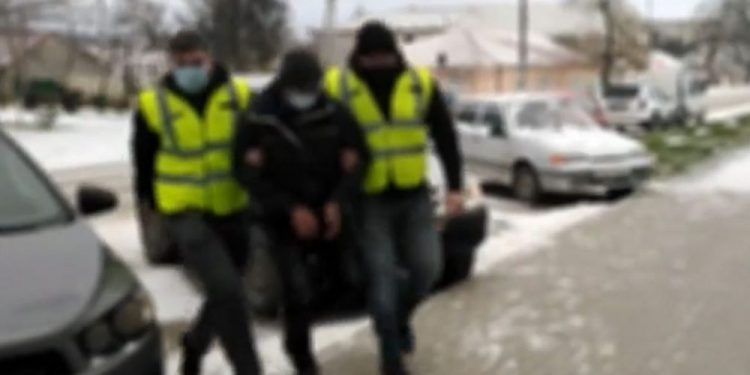 Испугался тюрьмы: мужчина устроился пастухом, чтобы скрыться от правосудия