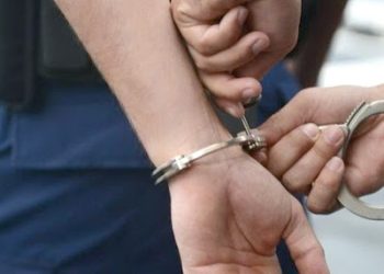 Водитель, сбежавший с места аварии, в которой погибла 35-летняя женщина, задержан после трех дней поиска | VIDEO