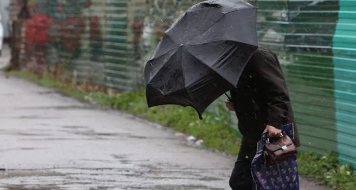 В Молдове синоптики предупредили о сильном ветре