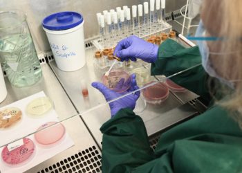 O nouă tulpină de coronavirus a fost descoperită în Nigeria