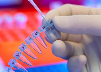 В Приднестровье создадут базу данных ДНК